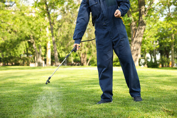 Worker spraying pesticide onto green lawn outdoors, closeup. Pest control