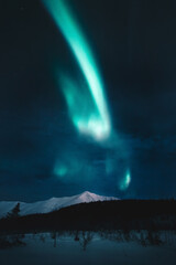 aurora