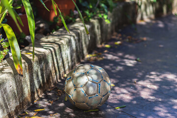 An abandoned ball in the backyard