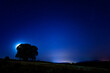© jalbator - neowise comet in dark blue night sky with stars tree and light hallow