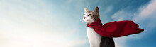 Panoramic - Cute Super Hero Cat With His Red Cape Watching The Horizon - Blue Sky Background