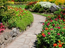 Summer Garden With Flower Beds, Walkways And Lush Greenery