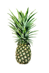 Sticker - green pineapple isolated on white background