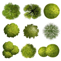 Wall Mural - set of green grass, tree top view for landscape plan and architecture elements