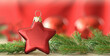 © igradesign - Christmas star red beautiful with tree branches on blurred red background