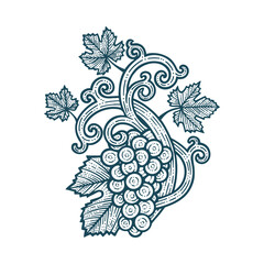 Wall Mural - Grape bunch, vine and leafs. Grapevine vintage style hand drawn vector illustration. Part of set.