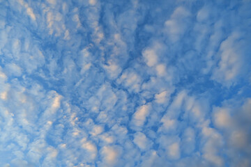Wall Mural - beautiful white clouds and blue sky high definition skyscraper with grunge texture for background ab