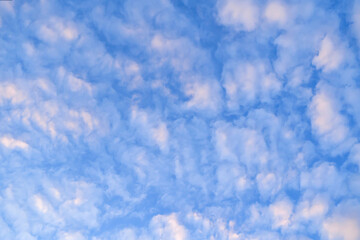 Wall Mural - beautiful white clouds and blue sky high definition skyscraper with grunge texture for background ab