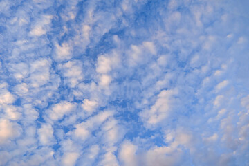 Wall Mural - beautiful white clouds and blue sky high definition skyscraper with grunge texture for background ab