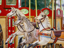 Carousel Horse And Horses