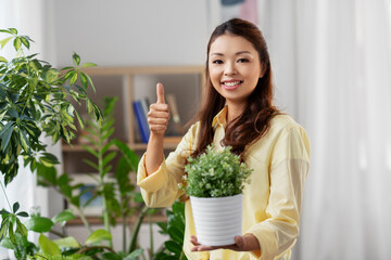 Wall Mural - people, housekeeping and plants care concept - happy asian woman with flower in pot at home