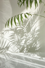 Wall Mural - Natural branches of evergreen tropical palm plant with shadows on a wall.
