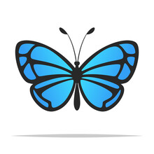 Blue Butterfly Vector Isolated Illustration