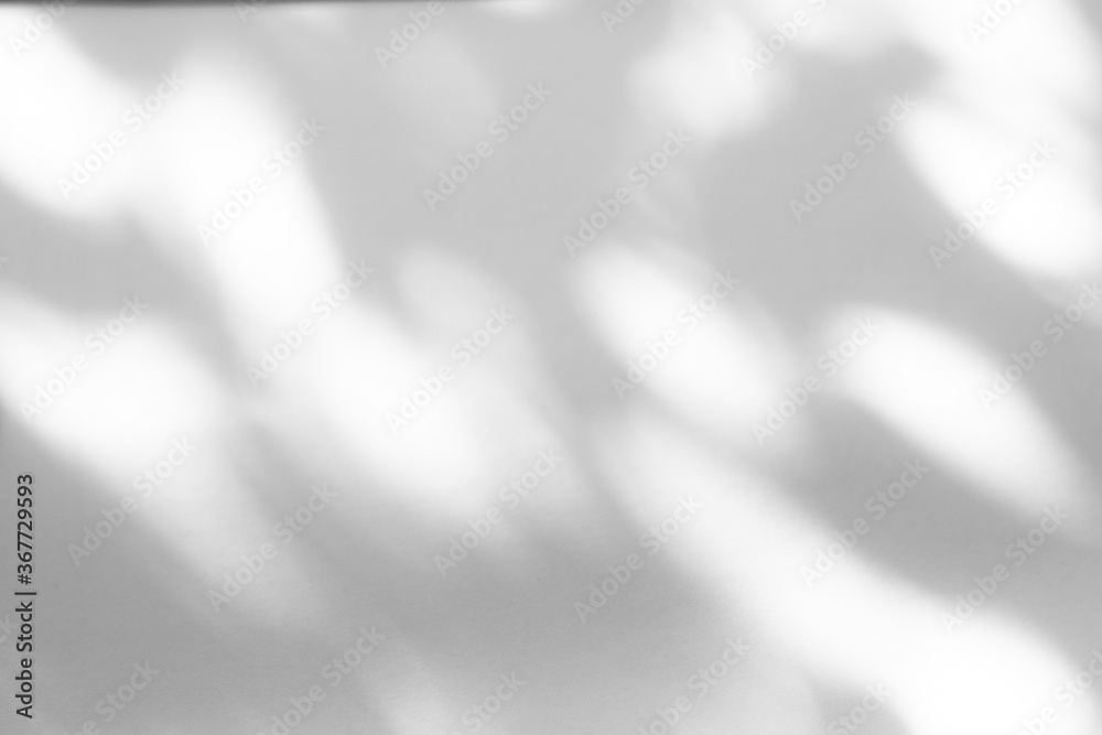 Blurred overlay effect for photo. Organic drop shadow and dappled light ...