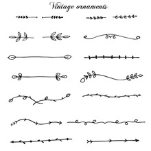 Hand Drawn Vector Set Of Calligraphic Design Elements, Ornaments Or Dividers