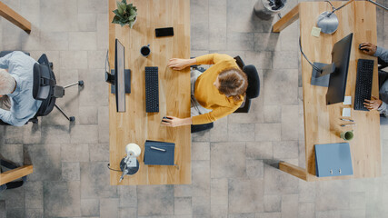 Poster - Top View Shot in the Office: Diverse Group of Business Startup Employees Sitting at their Desks Working on Desktop Computers. Stylish and Modern Office Loft with Professionals Doing their Job