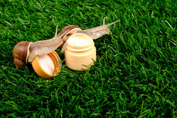 Wall Mural - jar with cream and snails on a background of green grass. beauty, body care cosmetics with snail mucin