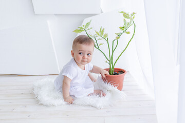 Small baby girl 6 months old sitting in white clothes in a bright apartment at the window with a room flower, plant care baby