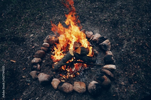 Cuadros en Lienzo Bright campfire in the nature. High quality photo