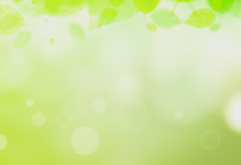 Wall Mural - nature view of green leaf on blurred greenery background in garden , spring time background