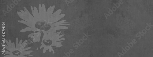Flower concrete stone tiles with elegant floral daisy print, gray grey anthra...