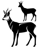 Fototapeta  - standing roe deer male animal side view black and white vector outline and silhouette