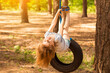 © Svetlana - Happy active child girl playing on swing wheel in forest on sunny summer day. Preschool child having fun and swinging on a tire