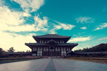 Wall Mural - beautiful shot of nara park in japan under blue sky and white clouds