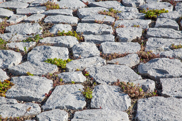 Sticker - Moderner mediterraner Garten und Landschaftsbau: Weg mit asymmetrisch verlegten Natur Pflastersteinen  mit Sukkulenten bepflanzt und mit Kies gefüllt