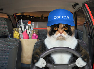 The multi colored cat doctor in a blue cap is driving a red car on the highway at night. A paper bag with medicines and medical instruments is next to him.