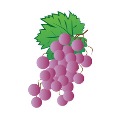 Wall Mural - Vector logo grape design in eps 10. Simple template and ready to use.