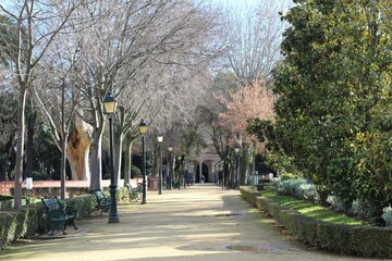 Beautiful view of an alley in a park with metal benches and street lamps