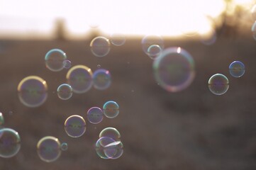 Sticker - Closeup shot of soap bubbles in the air with a blurred background