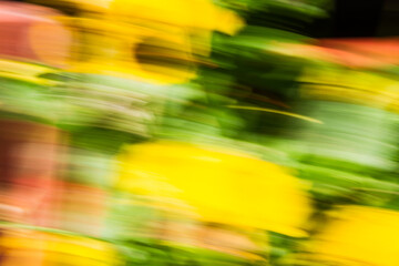 Close up. Blurred motion  flowerbeds, abstract background image. Yellow and  green  flowers background. 