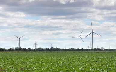 Wind turbines generating electricity located in the middle of the field. Alternative ecology energy, eco power