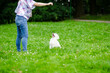 Szkolenie młodego psa. Tresura białego szczeniaka na trawie.