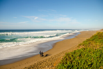 Sticker - Scenic landscape on the Pacific coastline, California