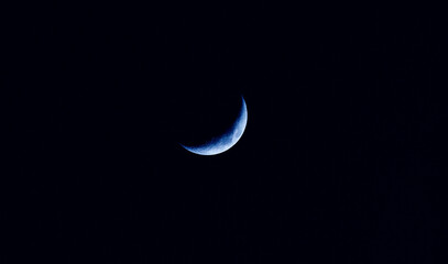 moon in the night