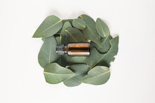 Flat Lay Image Of Amber Essential Oil Bottle Sitting Of Clump Of Eucalyptus Gum Leaves
