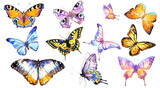 Fototapeta Motyle - beautiful watercolor butterflies, isolated on a white
