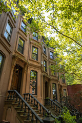 Poster - Brownstones in the city 
