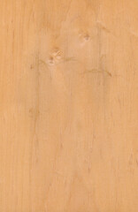 Wall Mural - Alder veneer, natural wood from Europe, Asia.