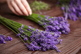 Fototapeta Lawenda - Florist sorting fresh lavender flowers for making a bouquet