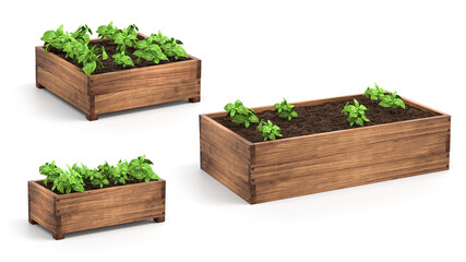 Wooden Raised Garden Beds. 3D Rendering. Wood box for grow