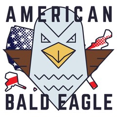 Wall Mural - american bald eagle poster