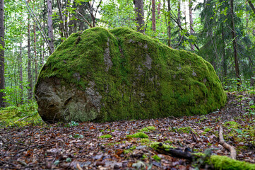 big stone covered in green wet moss