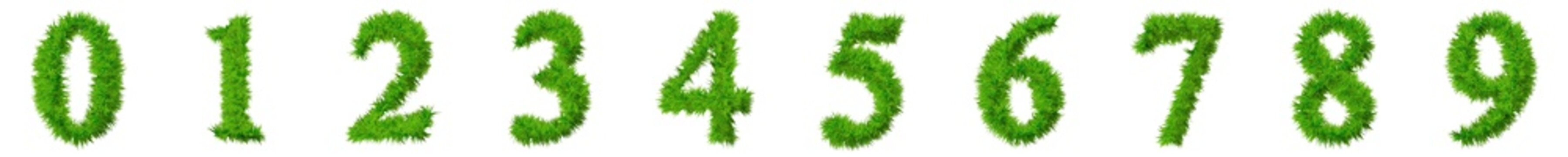 Conceptual set or collection of green grass, ecology font isolated white background for nature, conservation, natural, organic, education, ecology, environment health, spring or summer 3d illustration