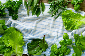 Wall Mural - Different types of fresh herbs on a towel