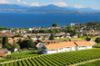 © Marc - Panoramic view of the village of Mont-sur-Rolle and Rolle in Switzerland