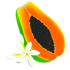 Wall Mural - Half ripe papaya fruit with flowers isolated on white background.